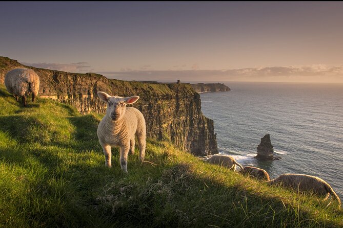 Dublin to Cliffs of Moher, Ennis Town & Bunratty Castle Day Tour - Should you book this Dublin day tour?