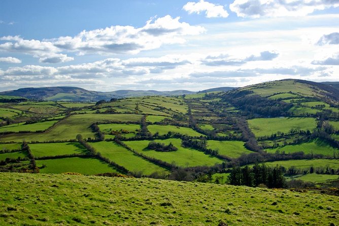 Dublin to Kilkenny Castle and House Of Waterford Crystal Day Tour - Kilkenny: castle views, limestone streets, and choices