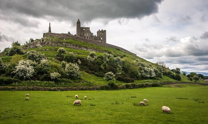 Dublin to Rock of Cashel, Cork City & Blarney Castle Guided Tour - A long day from Dublin to County Cork