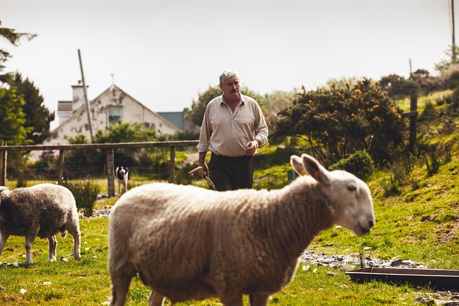 Dublin to South West 5 Day Small-Group Tour with Accommodation - What makes this five-day route worthwhile