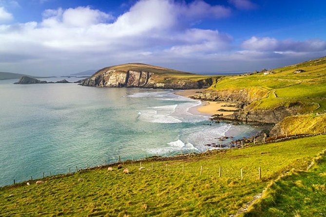 Dublin to South West 5 Day Small-Group Tour with Accommodation - Five days from Dublin, with a useful home base