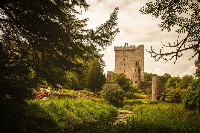 Dublin to South West 5 Day Small-Group Tour with Accommodation - Day 4: The Ring of Kerry, Portmagee and Derrynane