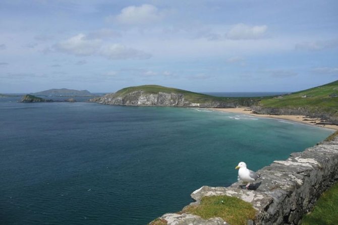 Dublin to South West 5 Day Small-Group Tour with Accommodation - Accommodation, meals and the real cost