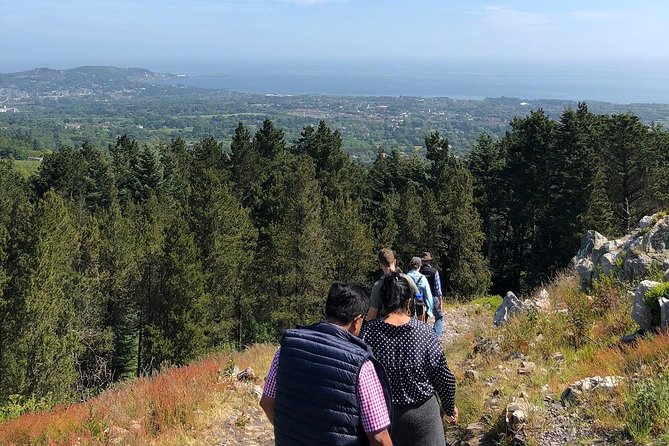 Dublin to Wicklow, Glendalough Small Group Tour with Guided Walk - Practical details before you go