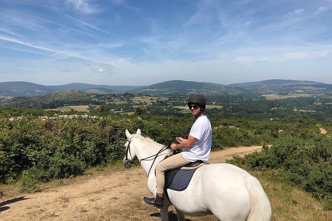Dublin to Wicklow, Glendalough Small Group Tour with Horse Riding - Should you book this Wicklow day trip?