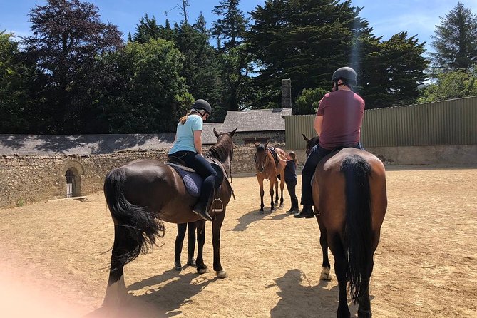 Dublin to Wicklow, Glendalough Small Group Tour with Horse Riding - Is $151.16 good value?