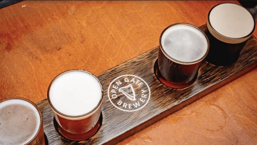 Dublin: Traditional Pubs Walking Tour with Local Guide - FAQ