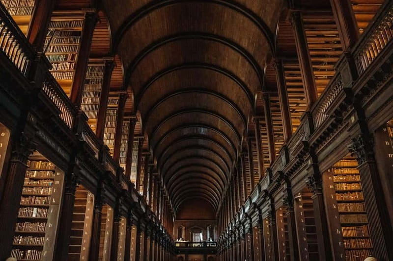 Dublin: Trinity College, Castle, Guinness and Whiskey Tour - Should you book this tour?