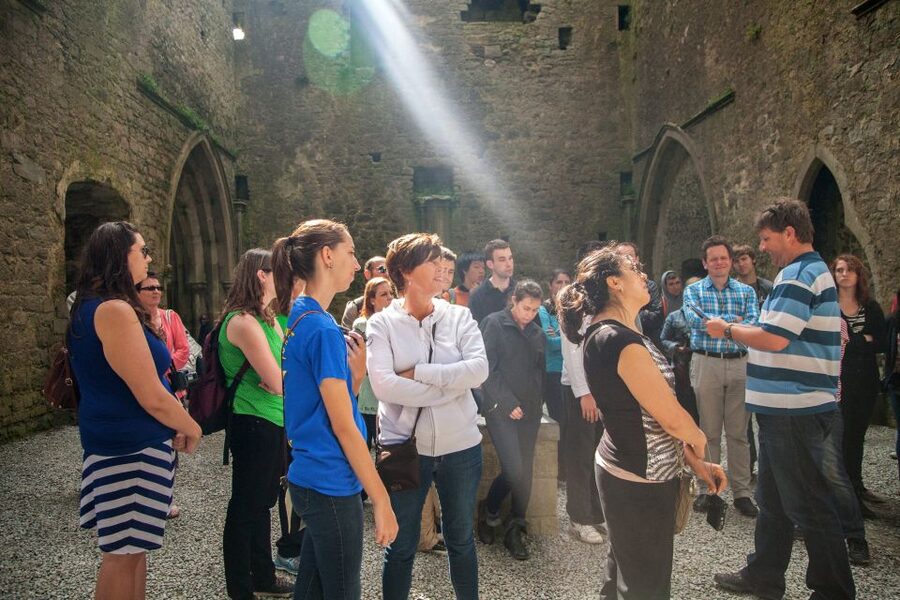 From Dublin: Blarney, Rock of Cashel and Cahir Castles Tour - The bus and the people who shape the day