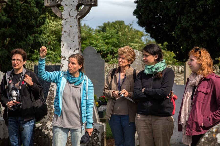 From Dublin: Celtic Boyne Valley and Ancient Sites Tour - A full day in County Meath