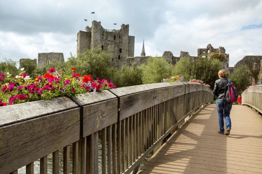 From Dublin: Celtic Boyne Valley and Ancient Sites Tour - What the $74 price includes, and what it does not