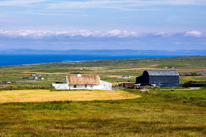 From Dublin: Cliffs of Moher, Bird of Prey & Aillwee Cave - What the $126.15 price gets you