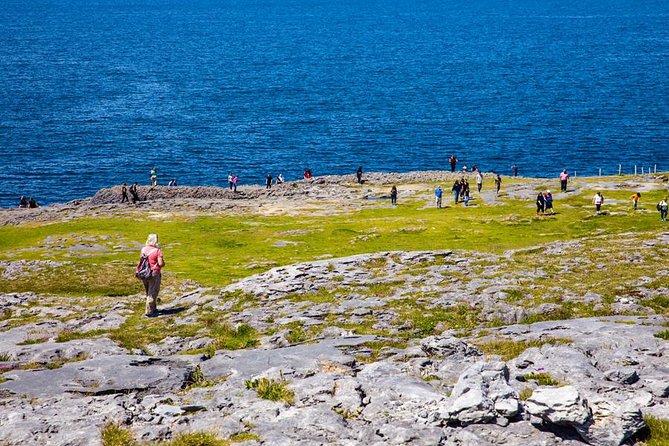 From Dublin: Cliffs of Moher, Bird of Prey & Aillwee Cave - The long ride, group size and practical trade-offs