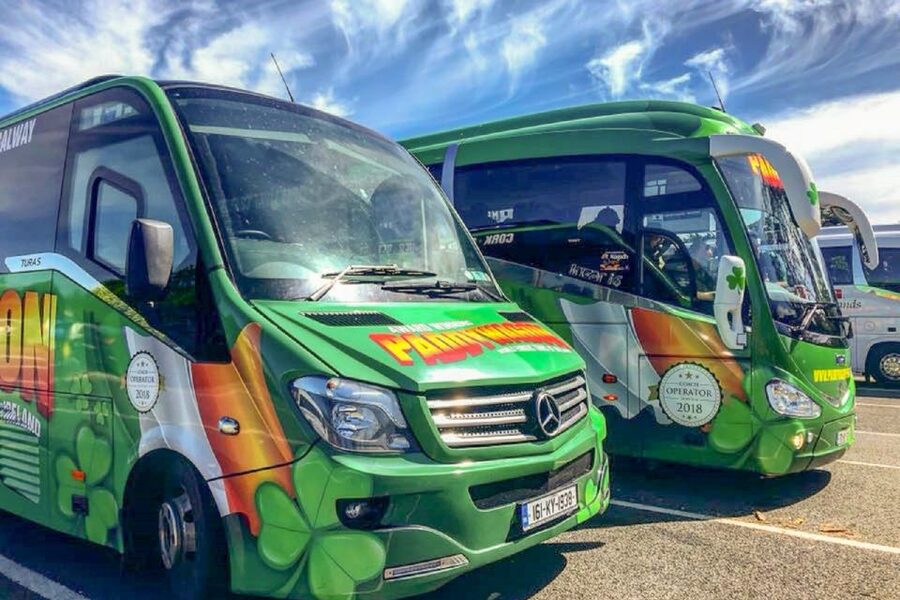From Dublin: Connemara and Galway Full-Day Tour - Glengowla or Cong: check the season