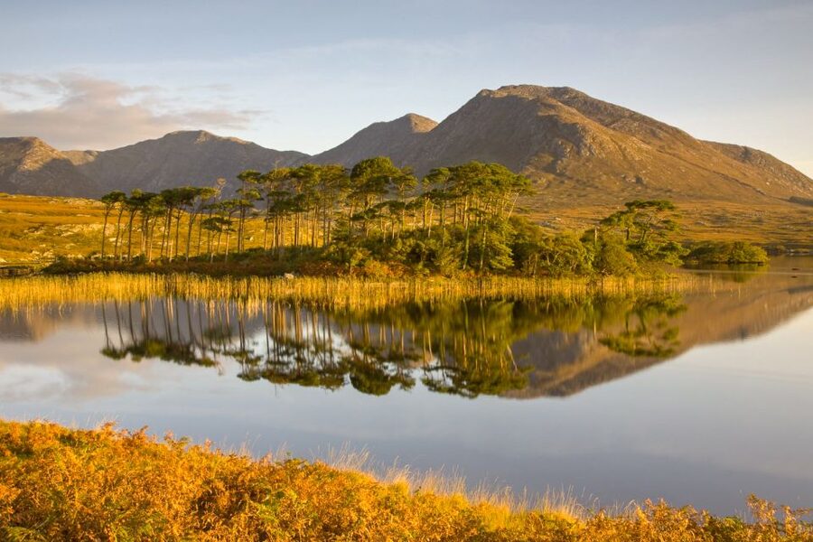 From Dublin: Connemara and Galway Full-Day Tour - The guide can make the miles feel shorter