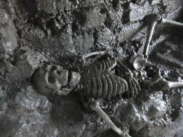 From Dublin: Gravedigger Ghost Bus Tour - How the comedy shapes the history