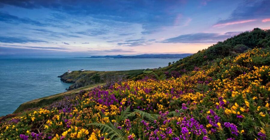 From Dublin: Half-Day Guided Coastal Tour to Howth Village - From O’Connell Street to the Howth headland