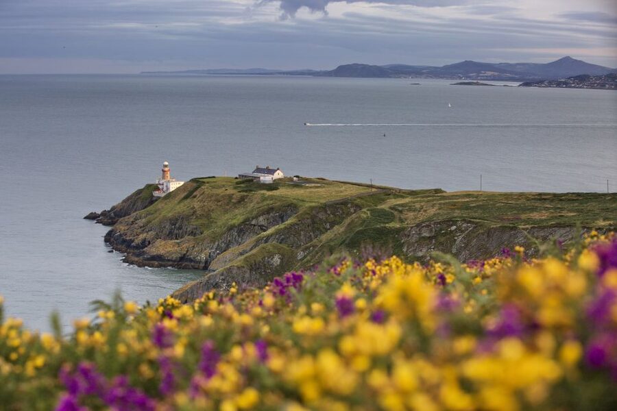 From Dublin: Half-Day Guided Coastal Tour to Howth Village - Seventy-five minutes to explore Howth village