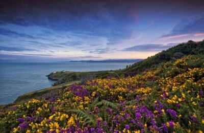 Half-Day Guided Coastal Tour to Howth Village