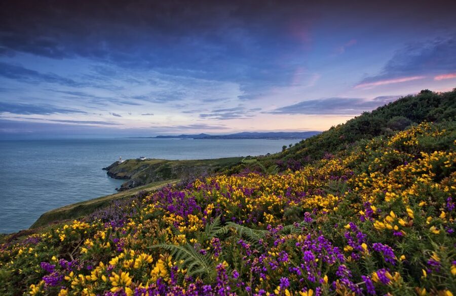 From Dublin: Half-Day Guided Coastal Tour to Howth Village - A guided hour above Dublin Bay