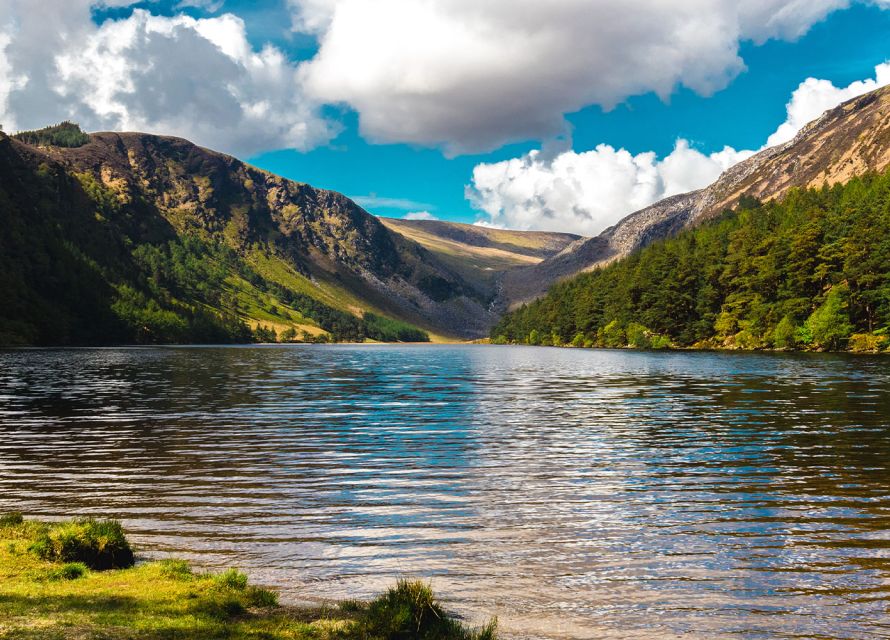 From Dublin: Half-Day Trip to Glendalough and Wicklow - Stories, film spots, and wildlife