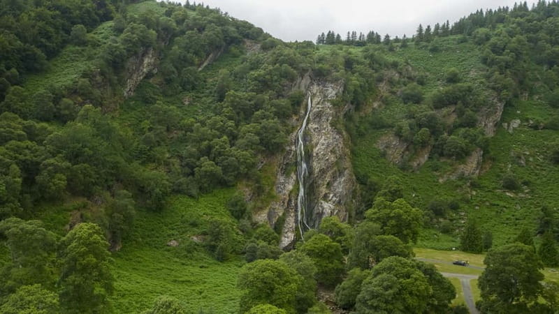From Dublin: Wicklow, Glendalough, Waterfall & Sheepdog Demo - FAQ