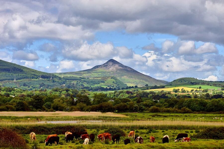 From Dublin: Wicklow Mountains, Glendalough & Kilkenny Tour - FAQ