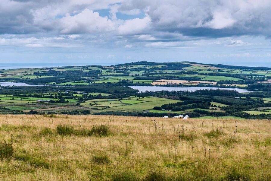 From Dublin: Wicklow Mountains, Glendalough & Kilkenny Tour - Should you book this Wicklow and Kilkenny day trip?