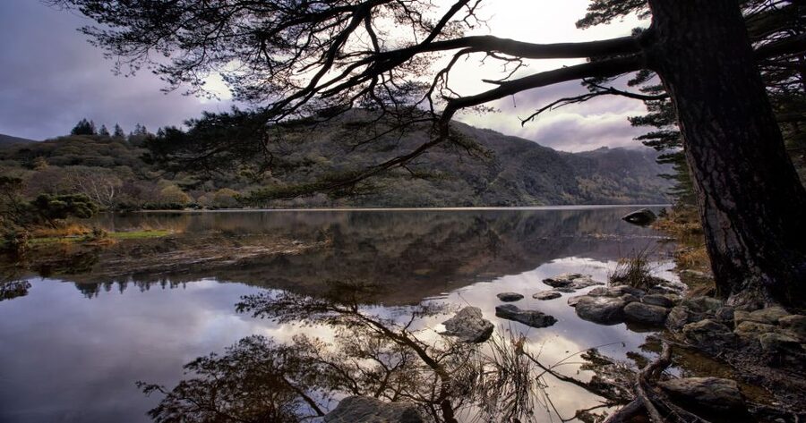 From Dublin: Wicklow Mountains, Glendalough & Kilkenny Tour - Glendalough: monastery, valley and lake paths