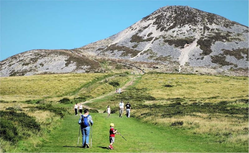 From Dublin: Wicklow, Powerscourt, and Glendalough Day Tour - What the $74 price covers, and what it does not