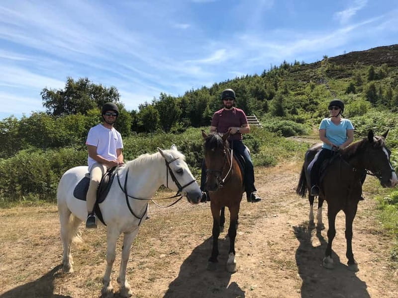 From Dublin: Wicklow, Powerscourt, and Glendalough Day Tour - Should you book it?