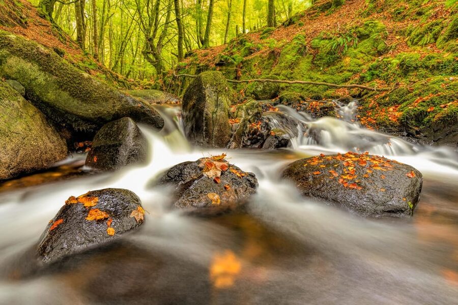 From Dublin: Wild Wicklow Mountains and Glendalough Tour - Who should book this Wicklow day trip?
