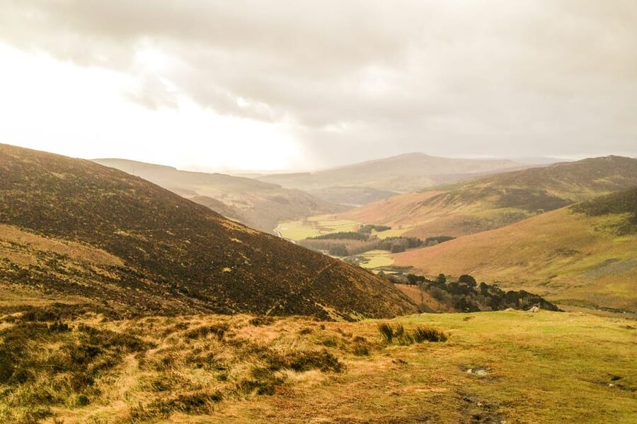 From Dublin: Wild Wicklow Mountains and Glendalough Tour - A whiskey tasting before the ride back