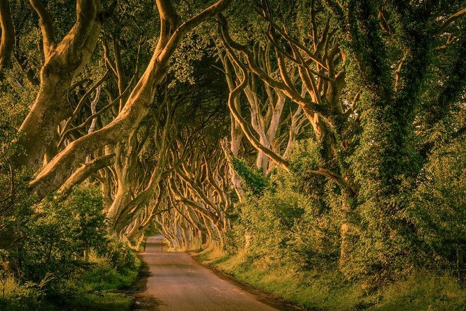 Giant Causeway, Dark Hedges & Whiskey Distillery tour from Dublin - A long ride that puts the planning in good hands