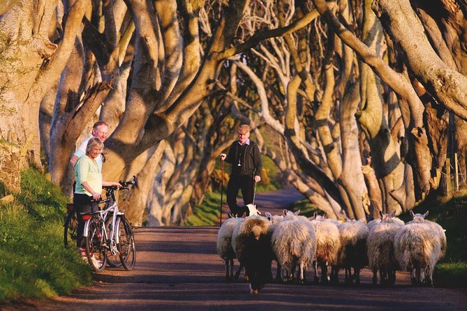 Giant's Causeway Day Tour from Dublin - Glens of Antrim and the coast road