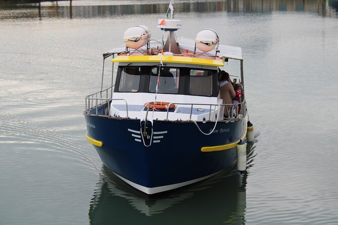 Howth Cliffs and Ireland's Eye Ferry Boat Tour - From the harbour to the Baily Lighthouse