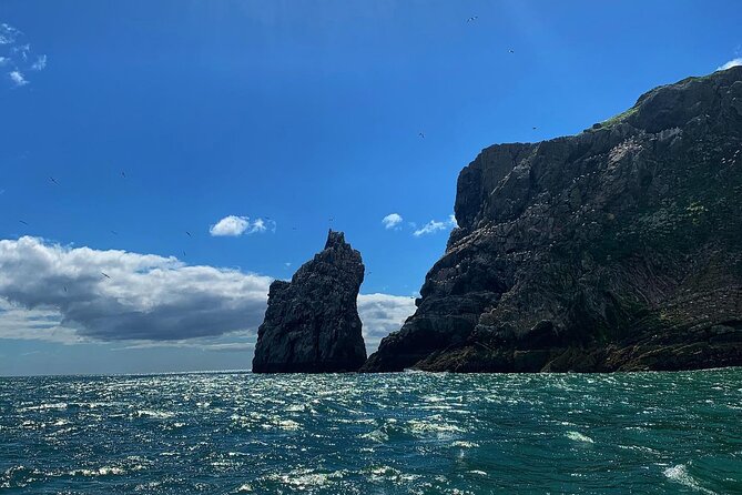 Howth Cliffs and Ireland's Eye Ferry Boat Tour - Weather, comfort, and who should go
