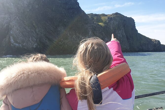 Howth Cliffs and Ireland's Eye Ferry Boat Tour - Along the cliffs and across Dublin Bay