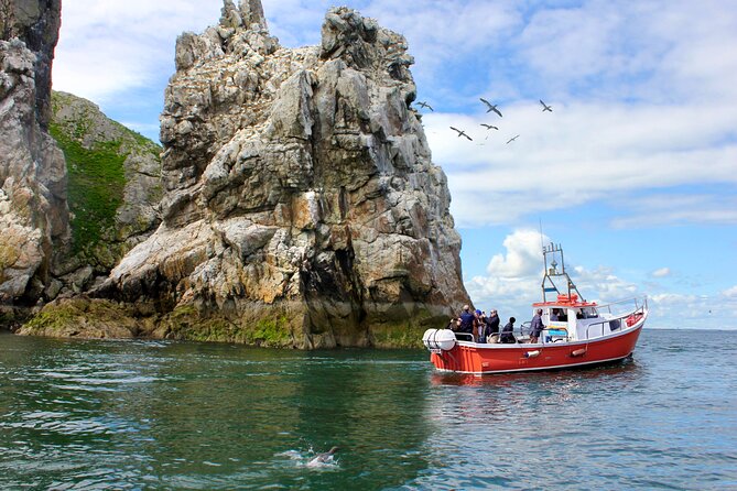 Howth Coastal Boat Tour (Ireland's Eye Ferries 50 mins trip) - The highlights at a glance