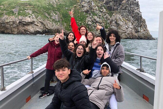 Howth Coastal Boat Tour (Ireland's Eye Ferries 50 mins trip) - What the boat ride feels like