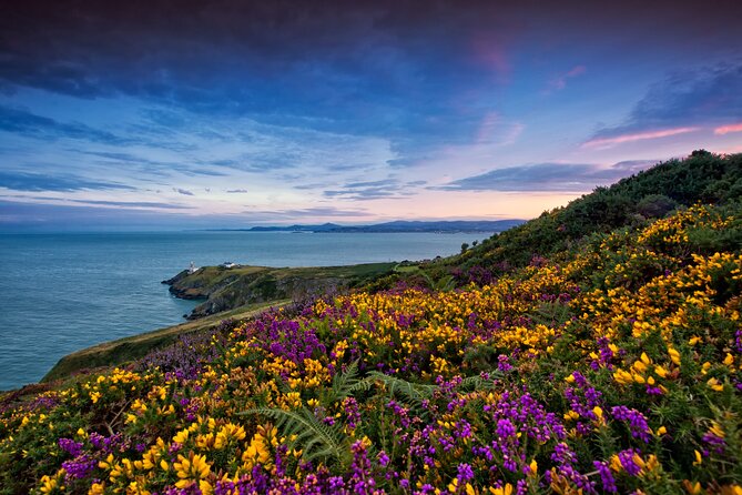 Howth Coastal Half-Day Bus Tour from Dublin with Live Guide - Howth Summit: views worth the walk