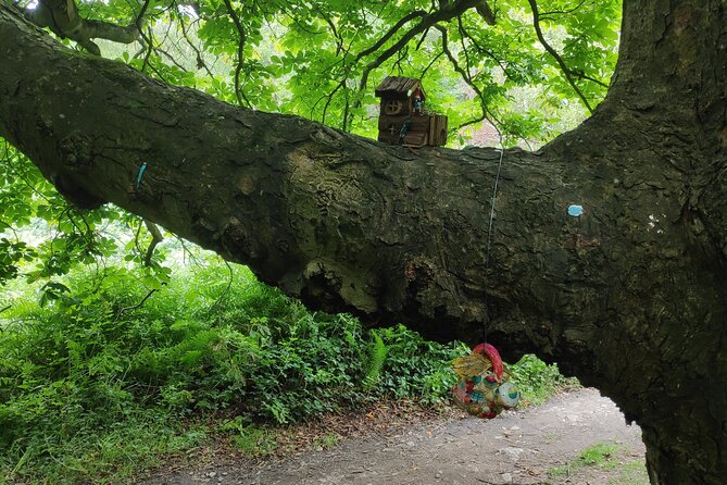 Howth Hiking Trail from Dublin: Mythology and Legend - Forest paths, fairy houses, and a picnic break