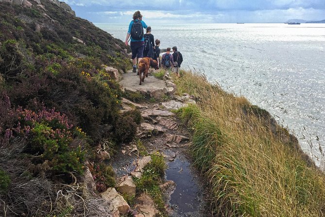Howth Safari Hiking Tour - The guide makes the walk more than exercise