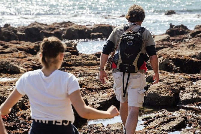 Howth Safari Hiking Tour - What to bring and who should book