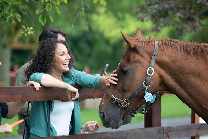 Irish National Stud & Gardens Skip the line Entrance - The Irish Racehorse Experience explains the sport