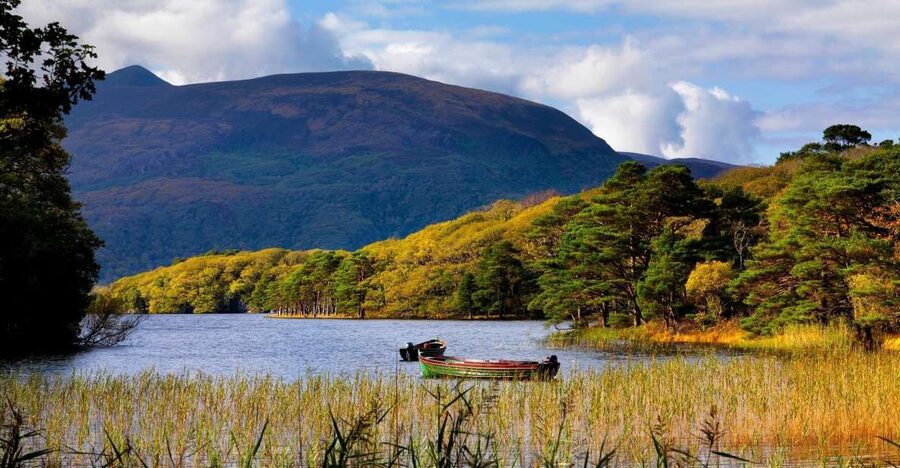 Kerry: Full-Day Tour from Dublin - Killarney National Park and its lakes