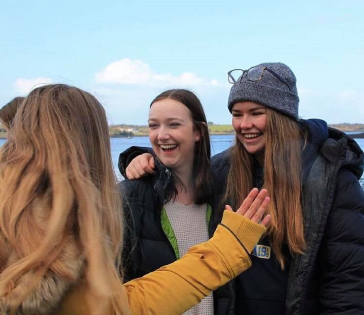Kerry: Full-Day Tour from Dublin - Killorglin and the Puck Fair tradition