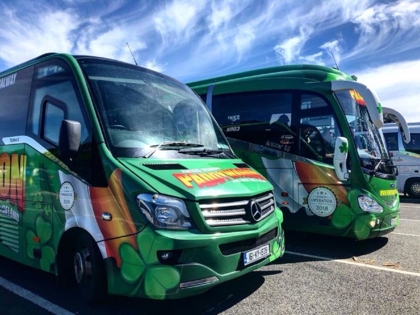 Kerry: Full-Day Tour from Dublin - A short pause in Killarney town