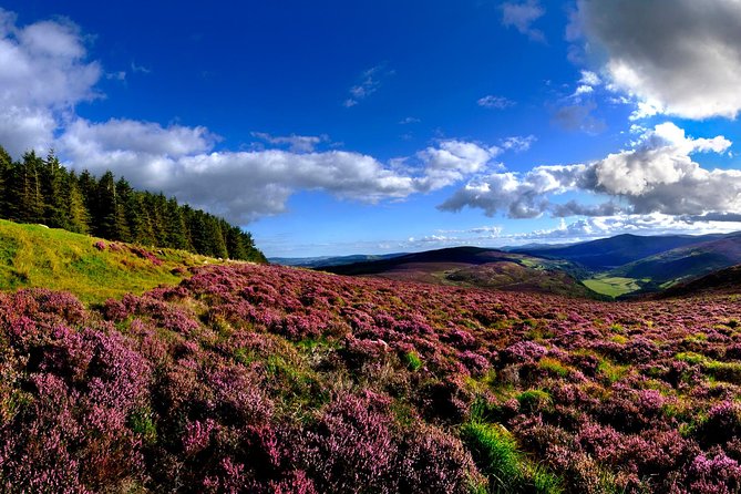 Kilkenny, Wicklow Mountains & Glendalough Day Tour from Dublin - Should you book the Kilkenny and Wicklow tour?