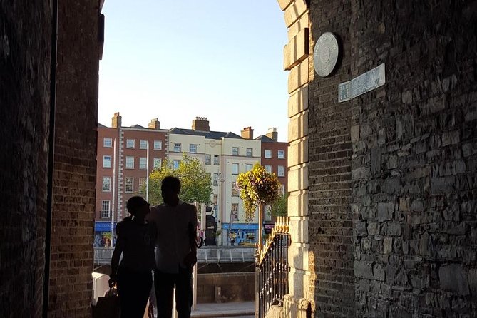 Private (Nearly!) All of Dublin in 5 hours (Walking Tour) - Leinster House, O’Connell, and the old Parliament